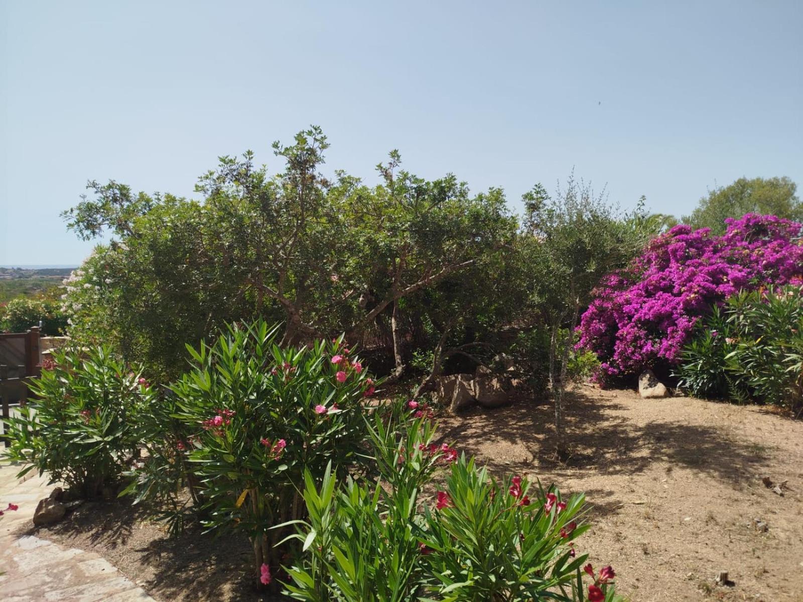 Villa Vista Mare Cala Ginepro Punta Molara Eksteriør bilde
